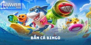 bắn cá bingo