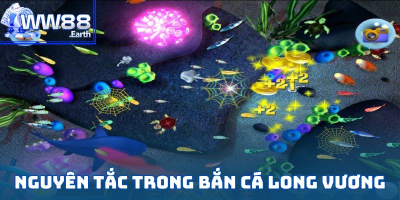 Bắn Cá Long Vương – Hướng Dẫn Chi Tiết Dành Cho Tân Thủ 3 Những nguyên tắc quan trọng trong Bắn Cá Long Vương