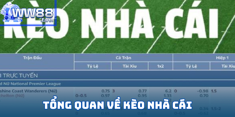 Giới thiệu về kèo nhà cái tại WW88 hấp dẫn hàng đầu