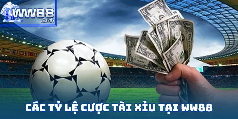 Kèo Tài Xỉu-Hướng Dẫn Chơi Chuẩn Như Chuyên Gia Năm 2025 4 Các tỷ lệ cược tài xỉu tại WW88