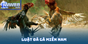 luật đá gà miền nam