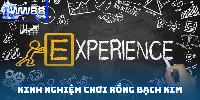 Rồng Bạch Kim WW88 - Cơ Hội Kiếm Tiền Hàng Đầu 2025 6 Tổng hợp kinh nghiệm chơi Rồng Bạch Kim chuẩn chuyên gia