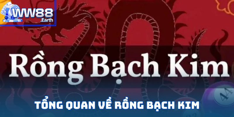 Rồng Bạch Kim WW88 - Cơ Hội Kiếm Tiền Hàng Đầu 2025 2 Giới thiệu Rồng Bạch Kim nổi bật hàng đầu tại WW88