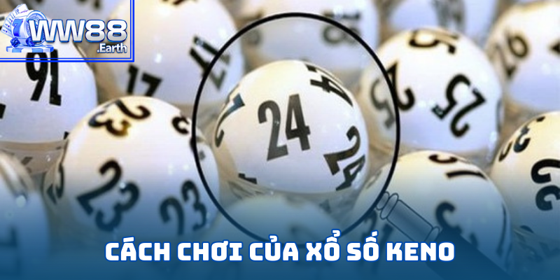 Tất tần tật cách chơi game Xổ Số Keno tại WW88 chi tiết từ A-Z
