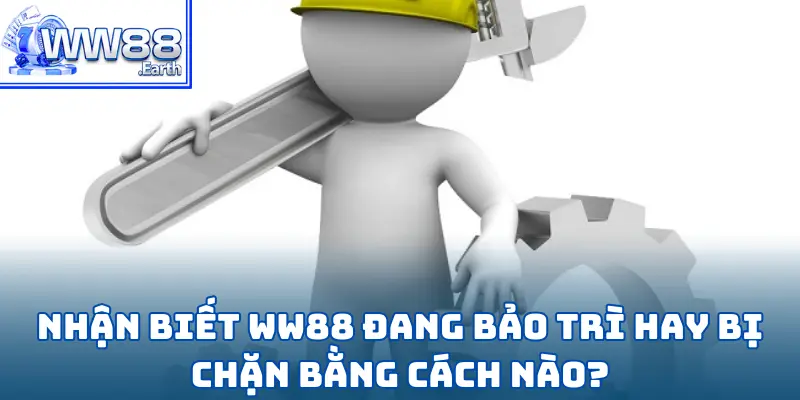 Nhà Cái WW88 Có Thường Xuyên Bảo Trì Không? 3 Nhà Cái WW88 Có Thường Xuyên Bảo Trì Không?
