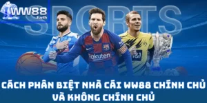 Cách Phân Biệt Nhà Cái WW88 Chính Chủ Và Không Chính Chủ