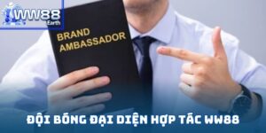 Đội bóng đại diện hợp tác