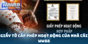 Giấy Tờ Cấp Phép Hoạt Động Của Nhà Cái WW88