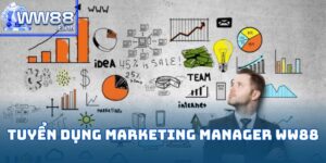Tuyển dụng Marketing Manager