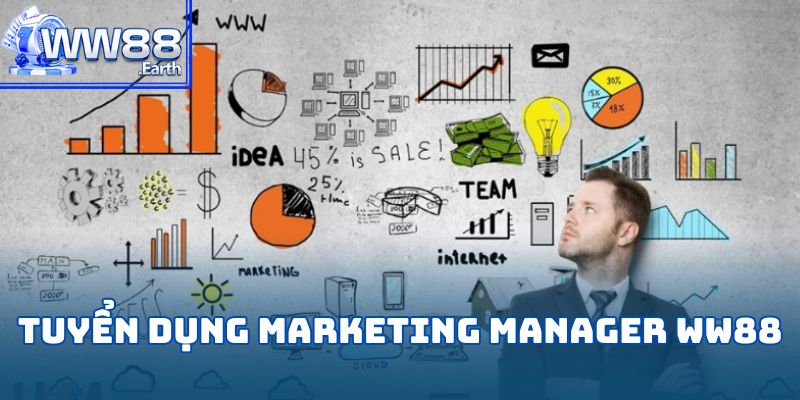 Tuyển dụng Marketing Manager