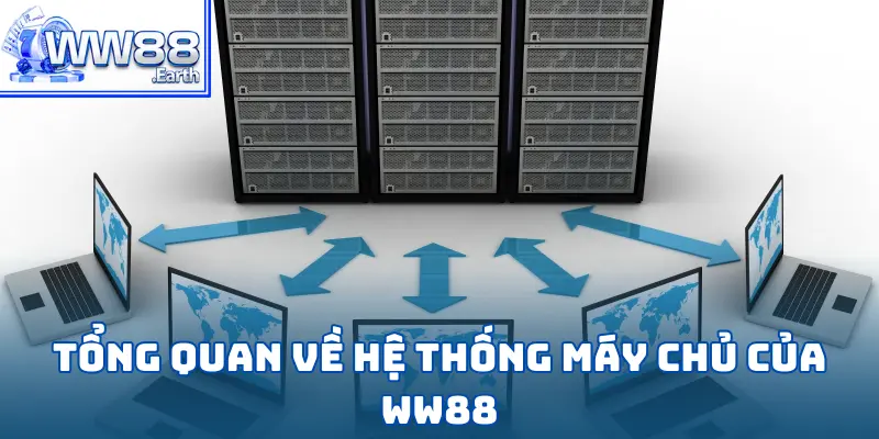 Máy Chủ Của Nhà Cái WW88 Đặt Tại Đâu? 2 Máy Chủ Của Nhà Cái WW88 Đặt Tại Đâu?