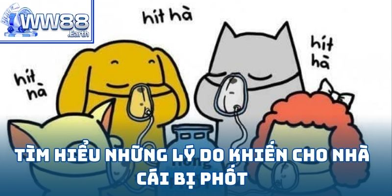Nhà cái có bị “phốt” không? Góc khuất của một thế giới ảo triệu đô 4 Nhà cái có bị phốt không