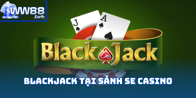 SE Casino – Đẳng Cấp Giải Trí Hàng Đầu Tại WW88 6 se-casino
