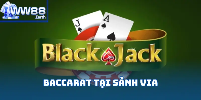 VIA Casino - Đồng Hành Cùng WW88 Trên Đường Cá Cược 5 via-casino