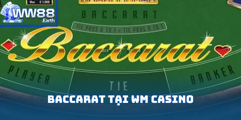 WM Casino – Sân Chơi Cá Cược Chuyên Nghiệp Và Hấp Dẫn 3 wm-casino