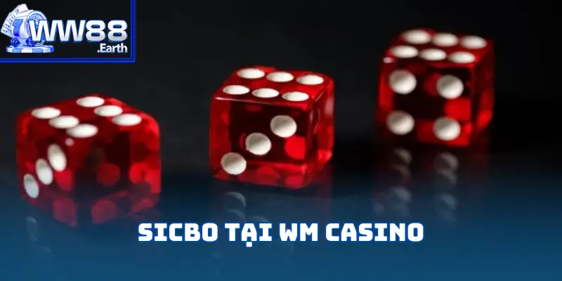WM Casino – Sân Chơi Cá Cược Chuyên Nghiệp Và Hấp Dẫn 4 wm-casino
