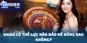 WW88 Có Thế Lực Nào Bảo Kê Đứng Sau Không?